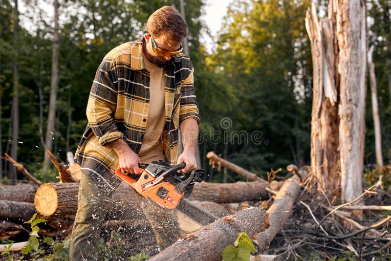 Lumberjack Logger in Protective Gear Cutting Firewood Timber Tree in