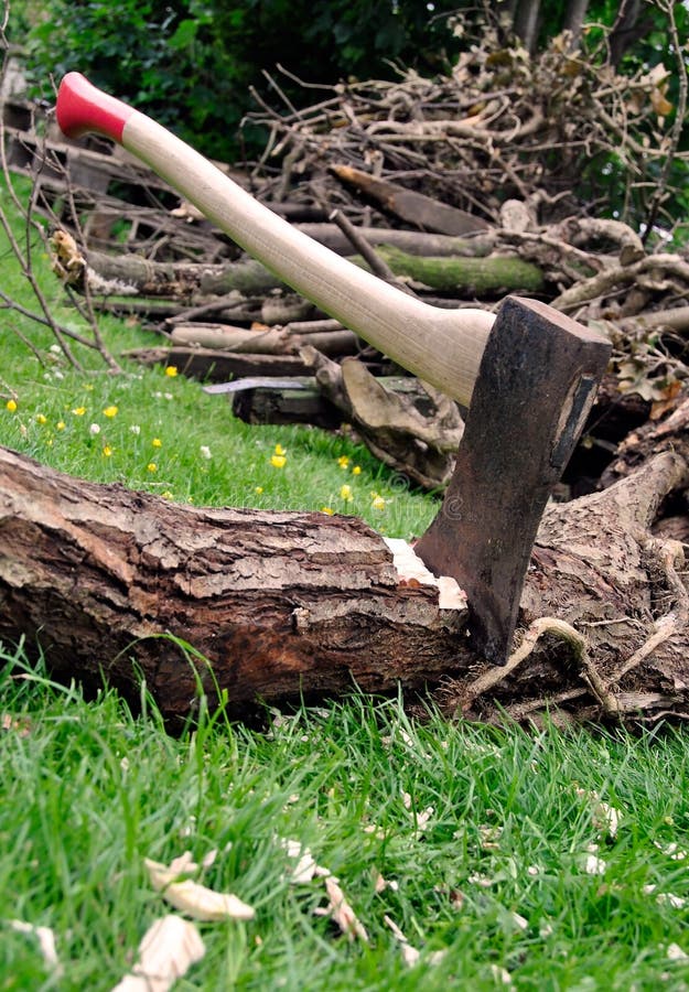 Lumberjack S Axe Stuck In A Tree Log On Grass Stock Image Image of