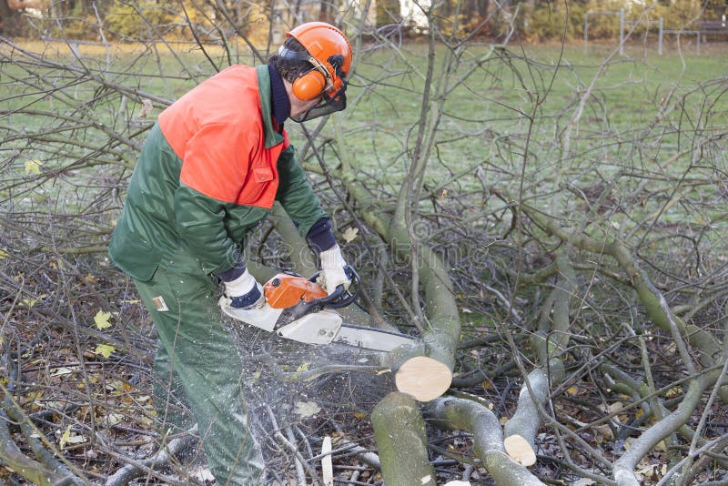 Lumberjack doing his work stock image. Image of lumberjack 35363475