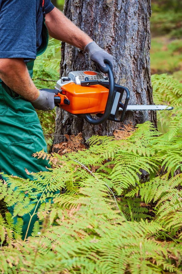 Lumberjack at work stock image. Image of lumber, adult 173138985