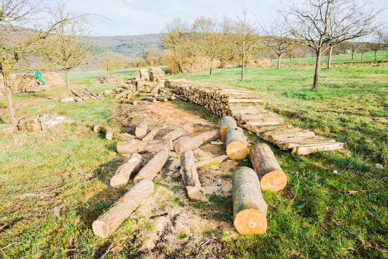 Lumberyard stock image. Image of stack, fire, brown, store 97879299