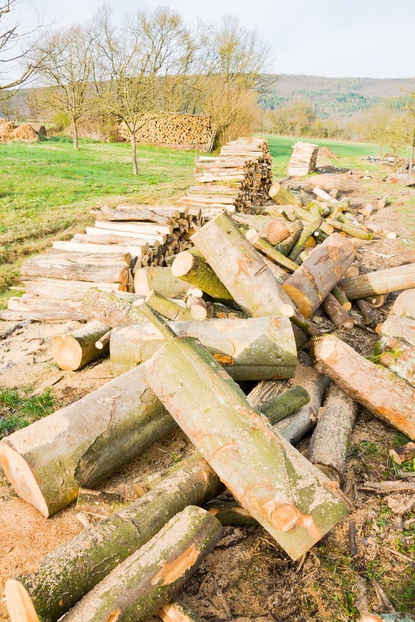 Lumberyard Stock Photos Download 2,399 Royalty Free Photos