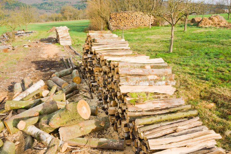 Lumberyard stock photo. Image of bulk, structure, person 97879664