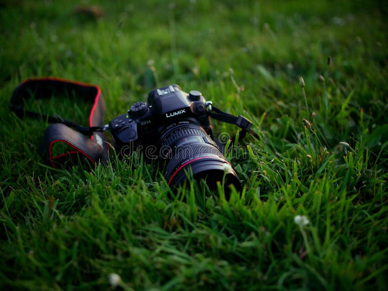 Lumix GH4 sammanträde i gräset royaltyfri bild Lumix GH4 sammanträde i gräset royaltyfri bild