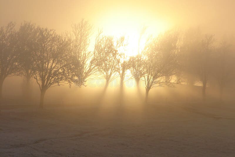 Lumière magique d'hiver images libres de droits Lumière magique d'hiver images libres de droits