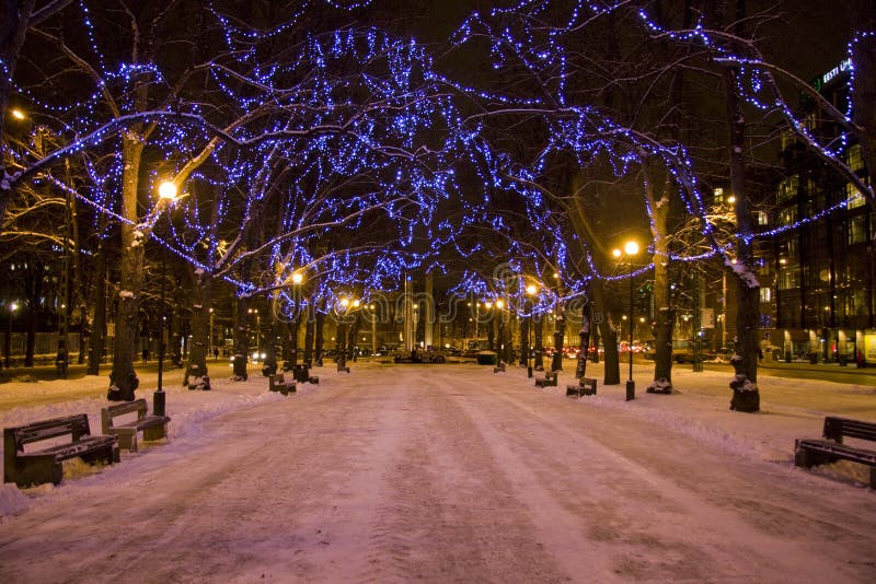 Blue christmas lights at night covering branches of alley. Blue christmas lights at night covering branches of alley