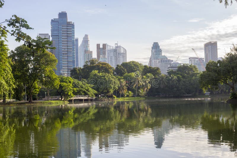 A green oasis in the heart of Bangkok, the 142 acre Lumphini park acts as the lungs of the metropolis. A green oasis in the heart of Bangkok, the 142 acre Lumphini park acts as the lungs of the metropolis.