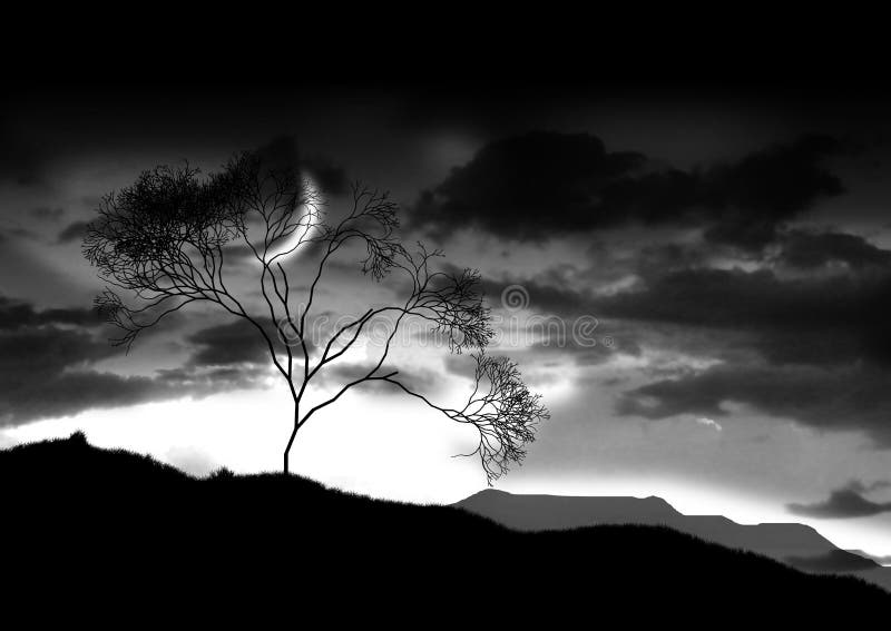 The full bright moon with tree. The full bright moon with tree.