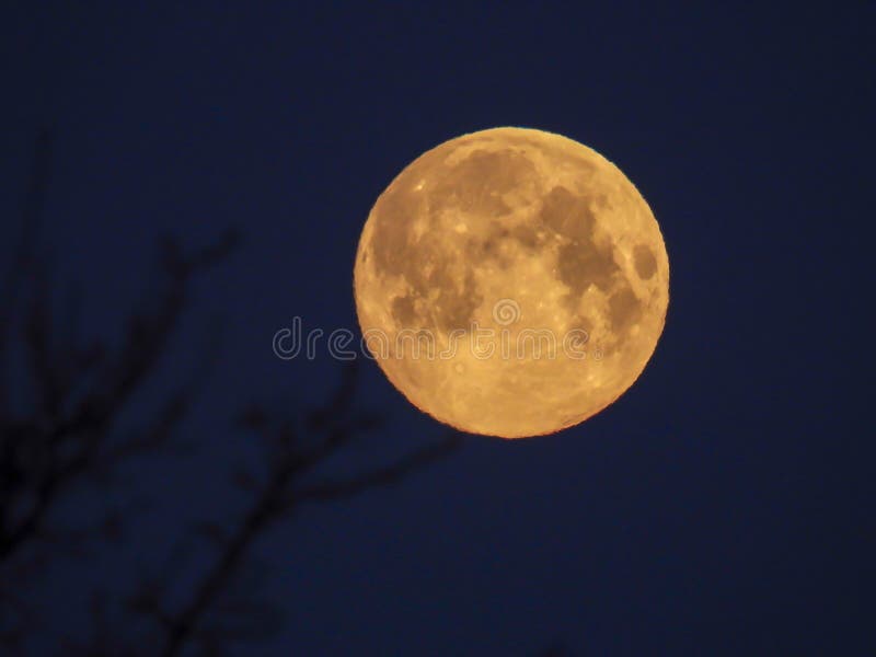 Luna Llena amarilla en el cielo de la mañana fotografía de archivo libre de regalías Luna Llena amarilla en el cielo de la mañana fotografía de archivo libre de regalías