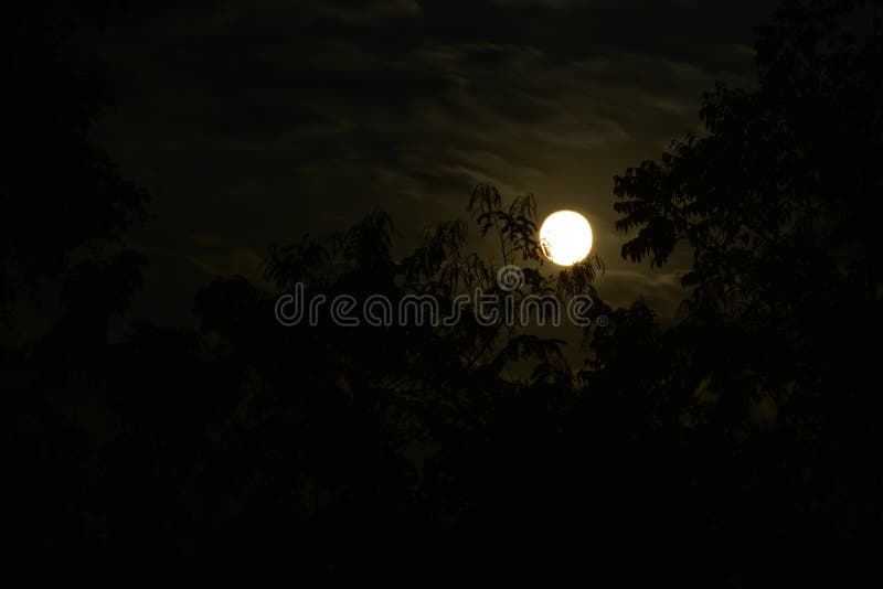 Luna Llena en la noche en el bosque y tan espeluznante y asustadizo imagen de archivo Luna Llena en la noche en el bosque y tan espeluznante y asustadizo imagen de archivo