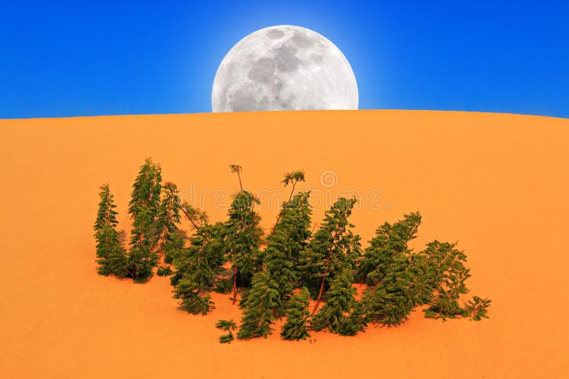 Luna Llena que sube en desierto imágenes de archivo libres de regalías Luna Llena que sube en desierto imágenes de archivo libres de regalías
