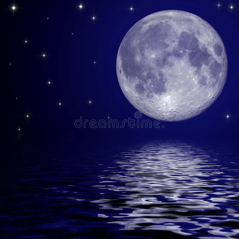 My Image 24