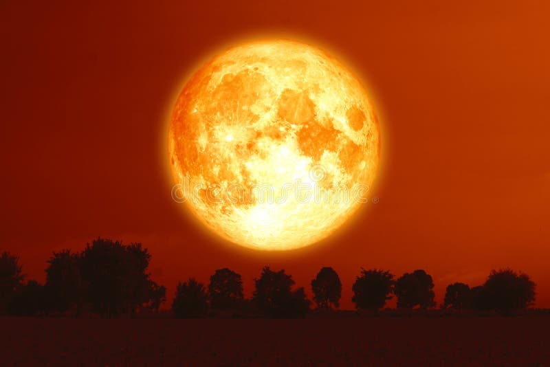 luna piena del sangue del raccolto sugli alberi rossi della siluetta e del cielo immagine stock luna piena del sangue del raccolto sugli alberi rossi della siluetta e del cielo immagine stock