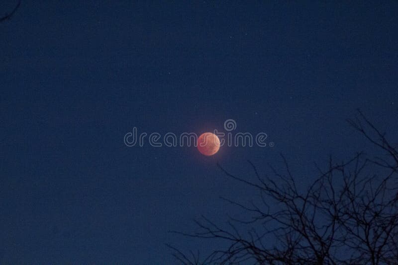 view-of-anlunar-eclipse-november-8-2022-columbus-ohio-stock-photo
