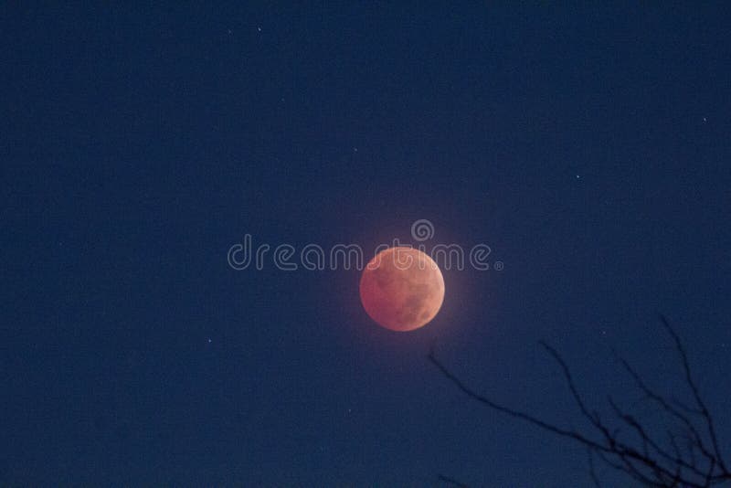 view-of-anlunar-eclipse-november-8-2022-columbus-ohio-stock-photo