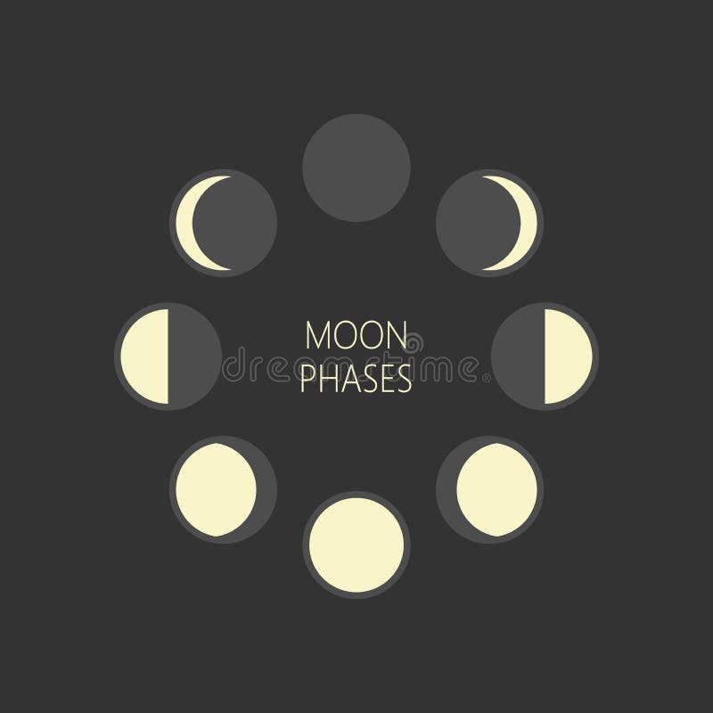 Lunar Phases Vector Art, Icons, and Graphics for Free Download