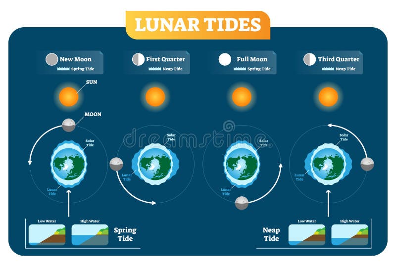 Lunar Tides Color Chart