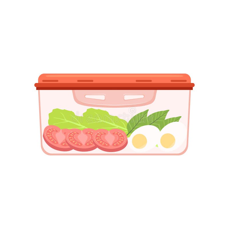 Lunch box with egg and vegetables, healthy food for kids and students vector Illustration on a white background