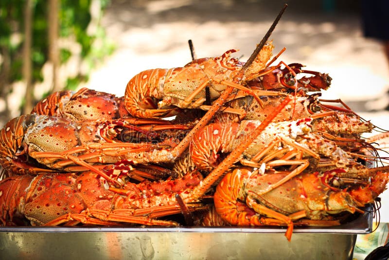 Lunch of lobster stock image. Image of communication 77229873