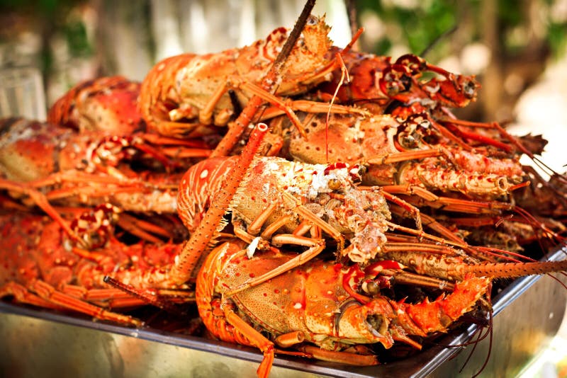 Lunch of lobster stock photo. Image of asian, food, festive 77230122