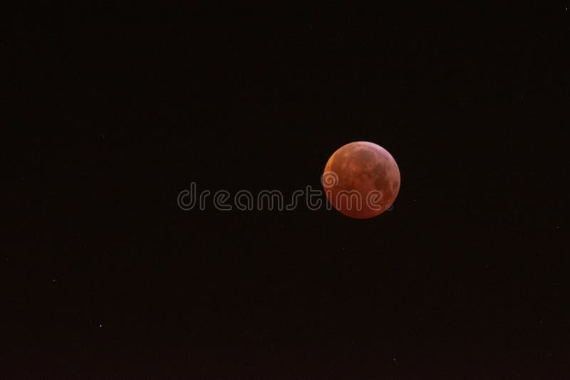 Lune de sang de loup image libre de droits Lune de sang de loup image libre de droits