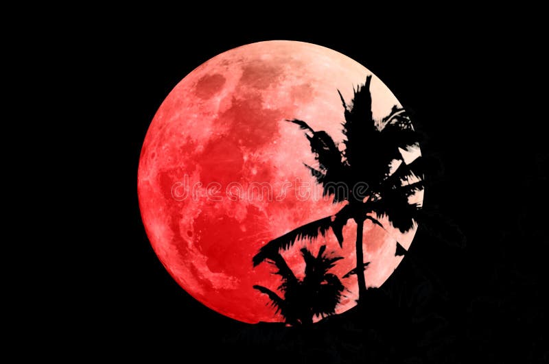 Lune superbe de sang bleu le 31 janvier 2018 images libres de droits Lune superbe de sang bleu le 31 janvier 2018 images libres de droits
