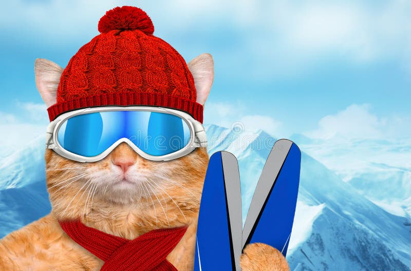 Lunettes De Port De Ski De Chat Détendant Dans La Montagne Photo stock -  Image du heureux, glace: 76327176