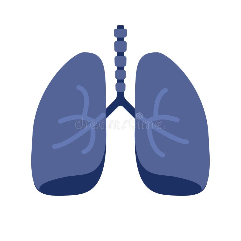 Lung or Human Lungs Icon with Bronchial System Vector Flat Cartoon  Illustration Isolated on White Background Stock Vector - Illustration of  disease, healthy: 181647766