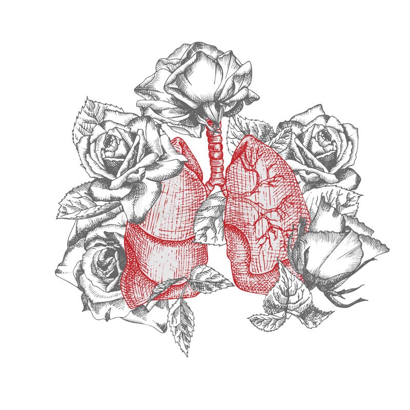 Lungs with bouquet roses Realistic hand-drawn icon of human internal organ and flower frame. Engraving art. Sketch style. Design concept for medical post-viral rehabilitation posters, tattoos Vector