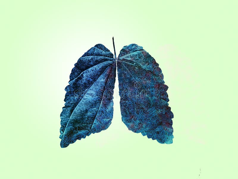 Lungs Concept Using Leaf Texture Stock Image Image of smoking, care