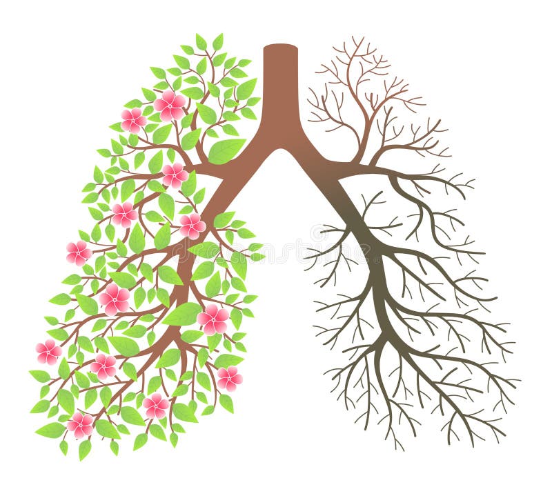 Lungs. Effect after smoking and disease vector illustration