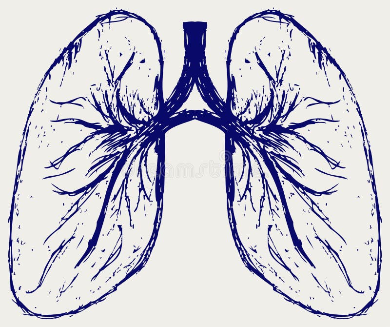 Lungs person. Doodle style. Vector