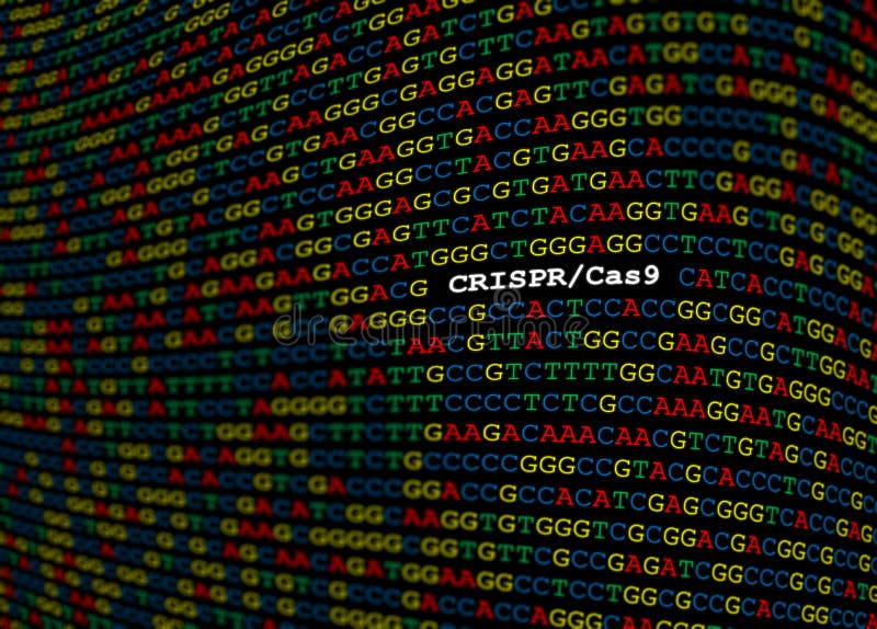 Luogo CRISPR-Cas9 sulla sequenza del DNA illustrazione di stock Luogo CRISPR-Cas9 sulla sequenza del DNA illustrazione di stock