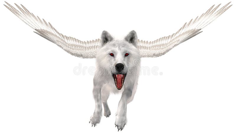 Lupo bianco volante, ali, isolate