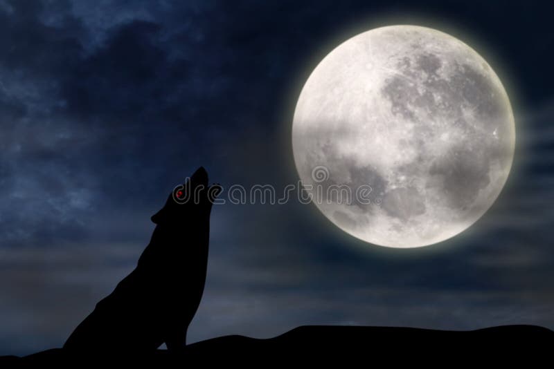 Lupo che urla alla luna piena illustrazione di stock Lupo che urla alla luna piena illustrazione di stock