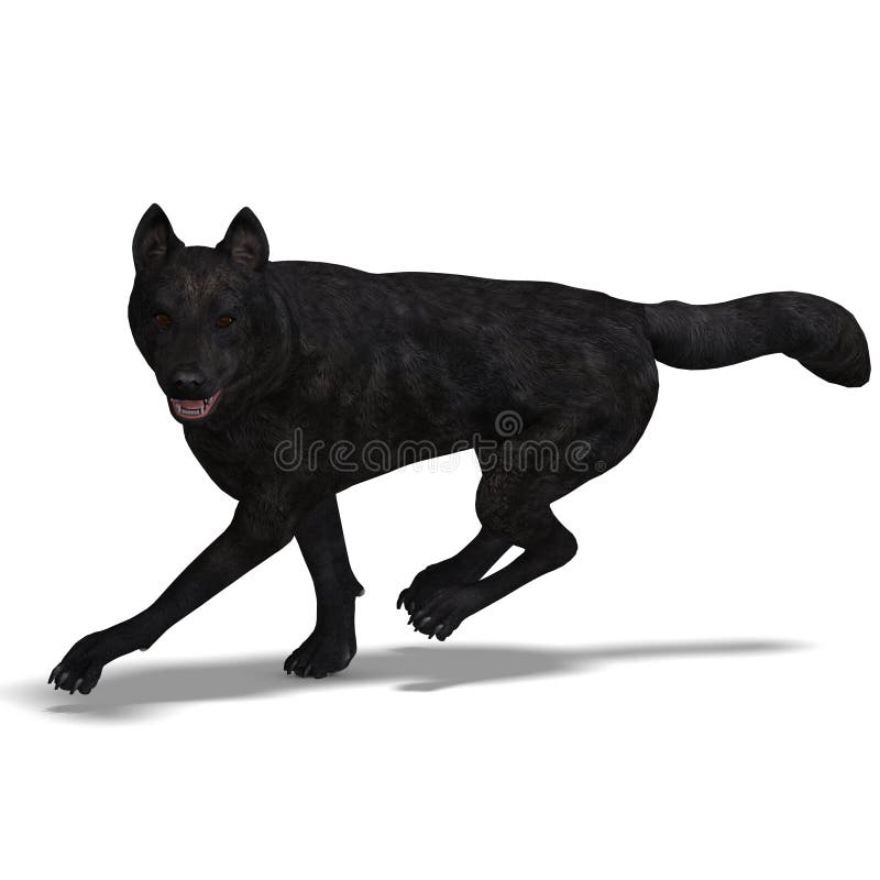 Lupo nero royalty illustrazione gratis