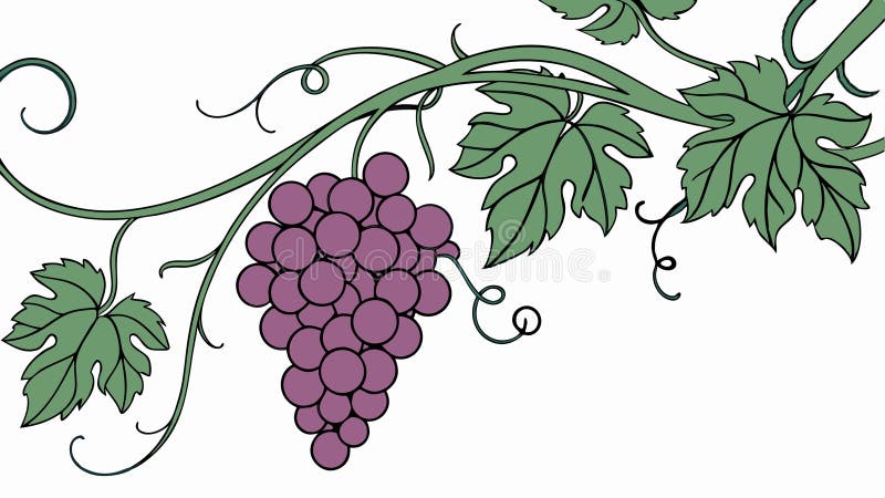 Lush Grapevine με ώριμα σταφύλια και σχεδίαση με φορέα πράσινων φύλλων Γεννητική AI απεικόνιση αποθεμάτων
