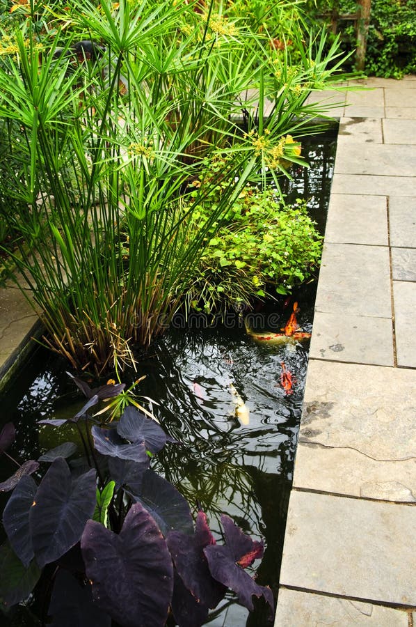 Lush green garden stock image