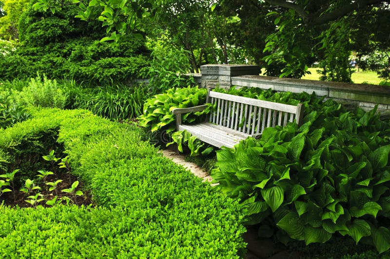 Lush green garden royalty free stock photos