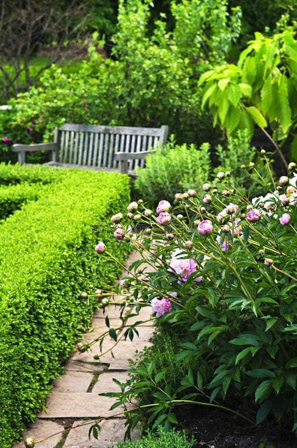 Lush green garden stock photos