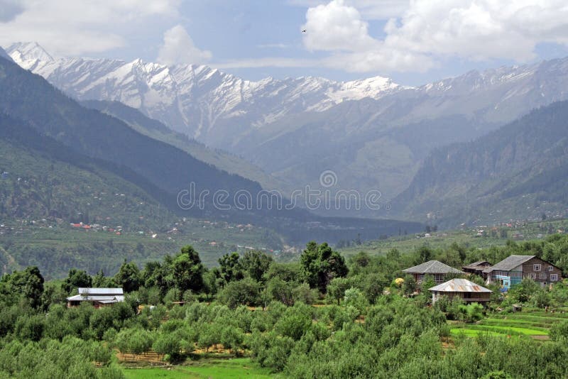 Lush green himalayan valley and snow peaks Manali India