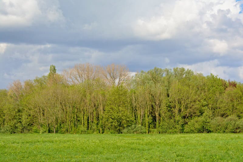 lush green landscape definition lush green landscape definition