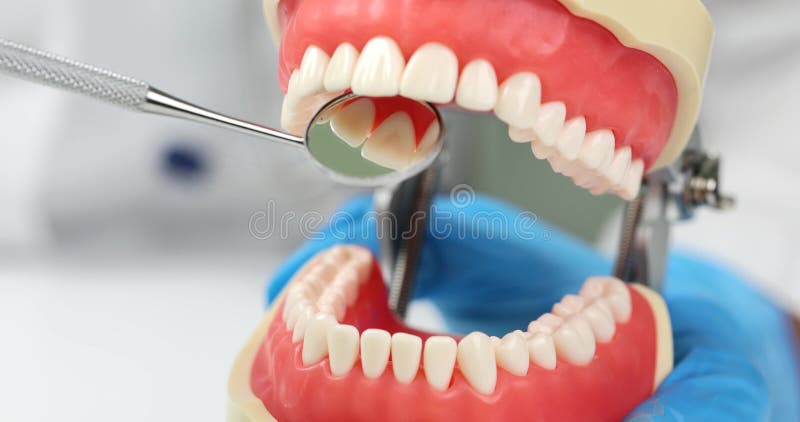 Lusterko dentystyczne i zamknięcie żuchwy anatomicznej