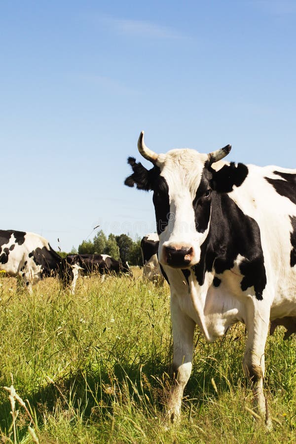 Nummer Stichwort Stock Fotos - Freie & Royalty-Free Stock Fotos von