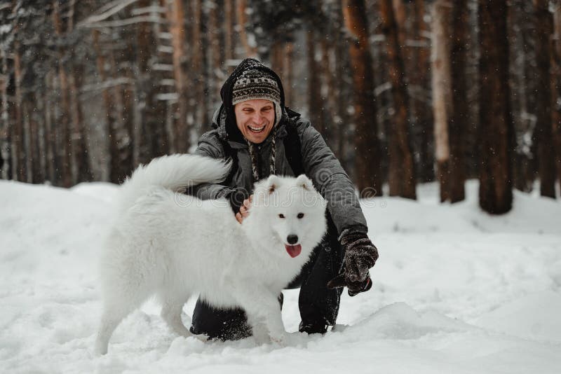 Lustiger weißer Hund gehen in den Winter in einem schneebedeckten Wald stockbild Lustiger weißer Hund gehen in den Winter in einem schneebedeckten Wald stockbild