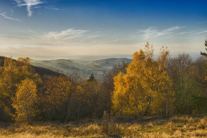 Lustro polacco dorato famoso di autunno al sole immagine stock Lustro polacco dorato famoso di autunno al sole immagine stock
