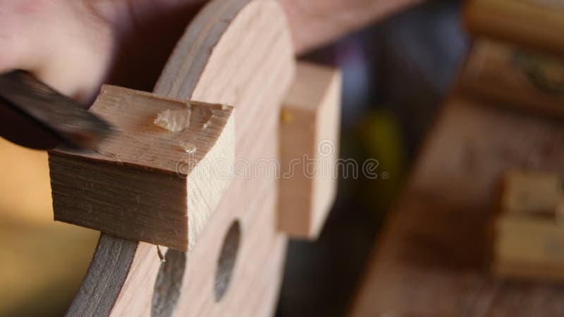 Luthier που εργάζεται με ένα chisel στη δομή ενός νέου βιολιού ή βιολιού
