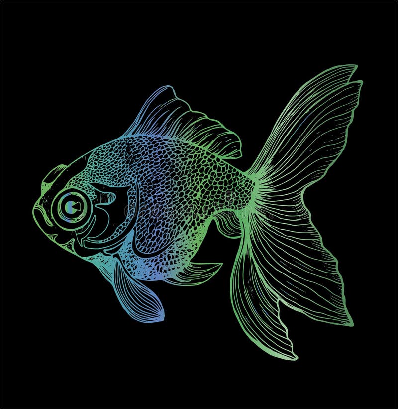 Lutningillustration av en fisk Svartvit karpteckning vektor illustrationer Lutningillustration av en fisk Svartvit karpteckning vektor illustrationer