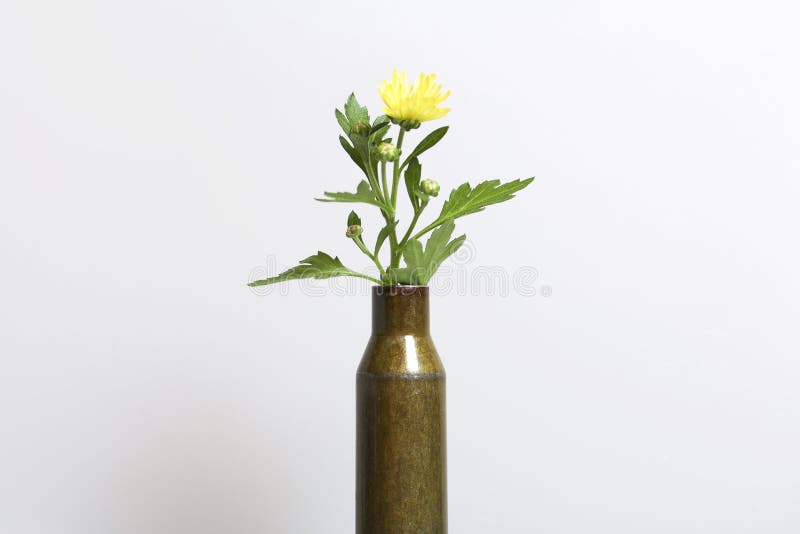 A luva do tiro de uma metralhadora do grande-calibre e um crisântemo amarelo florescem Estabelecimento da paz imagens de stock A luva do tiro de uma metralhadora do grande-calibre e um crisântemo amarelo florescem Estabelecimento da paz imagens de stock