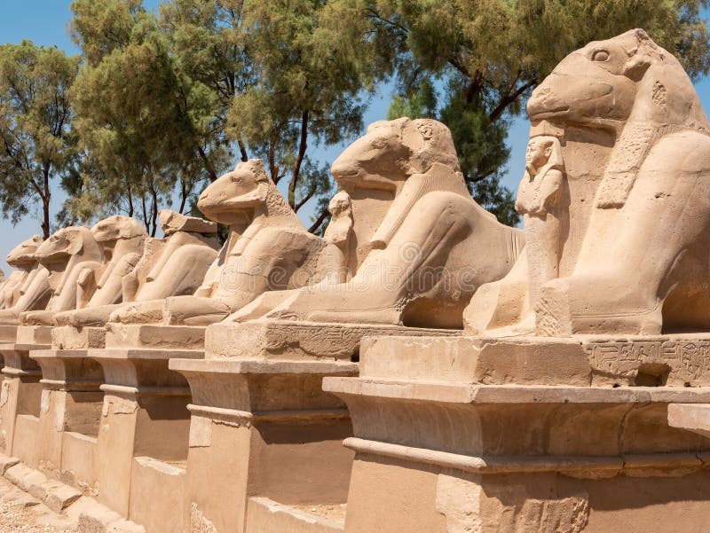 Luxor, Egypt - October 3, 2021: Close-up of the Alley of the Sphinxes at Karnak Temple. Ancient Egyptian statues are set in a row
